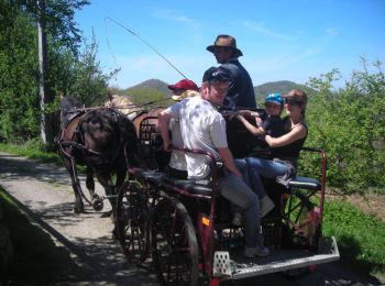 Excursión Caballo Fabas - Attelage en petites Pyrénées - Fabas 2 - Photo