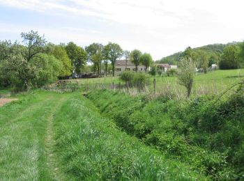 Randonnée Marche Linas - Marcoussis sports - Photo