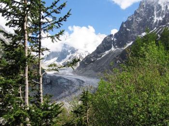 Trail Walking Chamonix-Mont-Blanc - Circuit de la Mer de Glace - Chamonix Mont Blanc - Photo
