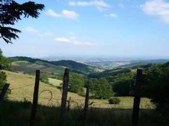 Tour Wandern Pollionnay - Les Monts du Lyonnais vers Pollionnais et Py Froid - Photo