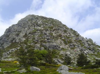 Trail Walking Saint-Martial - Mont Gerbier de Jonc - Photo