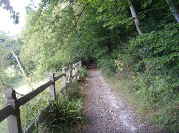 Trail Walking Ablon - Rando d'Ablon - Normandie - Photo