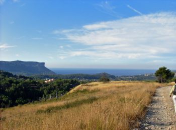 Trail Walking Carnoux-en-Provence - Rando Carnoux Cassis Carnoux - Photo