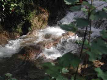 Tocht Stappen Cuges-les-Pins - Rando Cuges les Pins Col de l'Ange - Photo