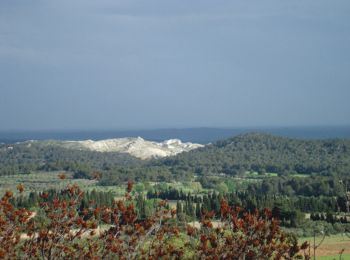 Tocht Stappen Cuges-les-Pins - Col de l'Ange Vallon de Julie & de Gypières  - Photo