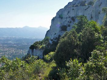 Trail Walking La Penne-sur-Huveaune - La Penne sur Huveaune - La Candolle - Photo