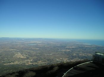 Randonnée V.T.T. Laroque-des-Albères - Une montée VTT au Néoulous - Photo