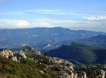 Randonnée Marche Mimet - Mimet - Le Grand Puech - Pilon du Roi  - Photo