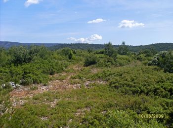 Excursión Senderismo Saint-Zacharie - Montmorin - Saint Zacharie  - Photo