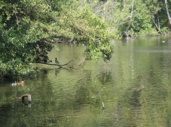 Randonnée Marche Cernay-la-Ville - Parc de l'Abbaye Cernay - Photo