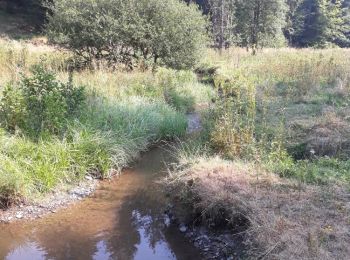 Percorso Mountainbike Habay - Entre Gaume et Ardenne - Photo