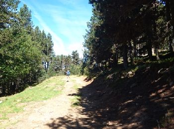 Tour Wandern Albiès - SVG-180914-PlateauBeille - Photo