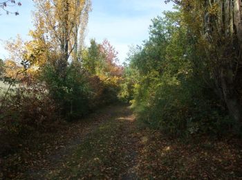 Trail Walking Saint-Rémy-de-Chargnat - Le pic d'Usson - Saint Remy de Chargnat - Photo