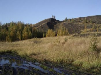 Tour Wandern Oignies - Parc des Hautois - Oignies - Photo