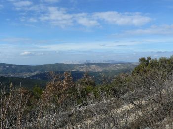 Tocht Stappen Saint-Zacharie - Rando St Zacharie Pas de Peyruis  - Photo