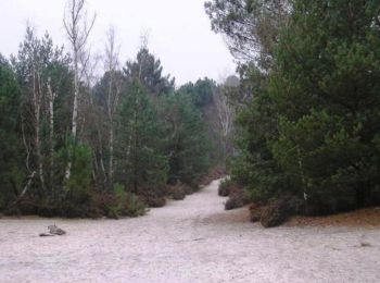 Tour Mountainbike Milly-la-Forêt -  La Miliacoise 2009 35km - Photo