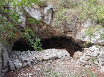 Trail Walking Ollioules - Le Destel Grotte des joncs - Photo