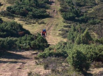 Tocht Mountainbike Saint-Lary-Soulan - Crête d'Azet - Saint Lary - Photo