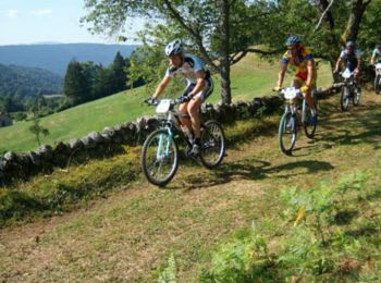 Trail Mountain bike Le Clerjus - Espace VTT FFC Chemins du Coeur des Vosges - circuit n°16 - La Picarde - Photo