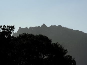 Randonnée Marche Figari - Journée en Cagna - Naseo - Photo