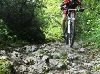 Trail Mountain bike Voiteur - Raid VTT Jura 2009 - Photo