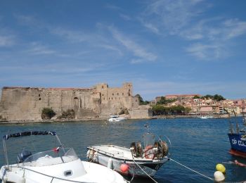 Excursión Senderismo Argelès-sur-Mer - Argelès-Le Racou - Collioure - 14km 262m 4h07 (40mn) - 2018 09 02 - Photo