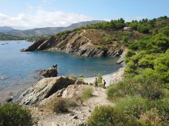 Tocht Stappen Port-Vendres - Port-Vendres - Cap Béar-Paulilles - 11.7km 340m 4h00 (30mn) - 2018 09 03 - Photo