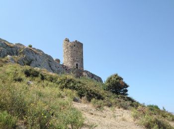 Excursión Senderismo Argelès-sur-Mer - Argelès - La Tour de la Massane - 18.1km 875m 5h40 (40mn) - 2018 09 04 - Photo