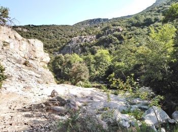 Trail Walking Sorède - Sorède - La Vall - 6.6km 210m 2h00 - 2018 09 08 - Photo