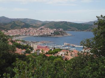 Excursión Senderismo Port-Vendres - Paulilles - Cap Rederis - 17.4km 500m 5h15 (45mn) - 2018 09 12 - Photo