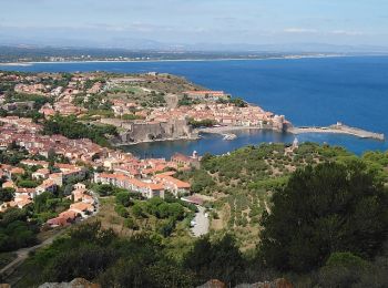 Randonnée Marche Collioure - Collioure - boucle N-D Consolation Fort St Elme - 13.2km 380m 3h25 (40mn) - 2018 09 14 - Photo