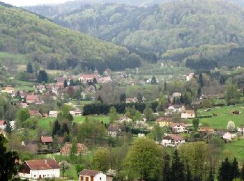 Trail Mountain bike Xamontarupt - Espace VTT FFC Chemins du Coeur des Vosges - circuit n°42 - Le Grand Viramont - Photo