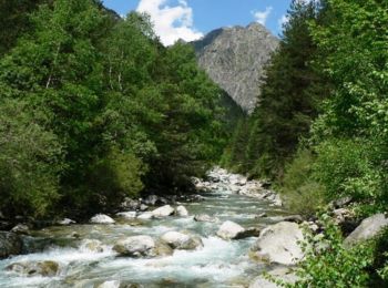 Tocht Mountainbike Saint-Lary-Soulan - La Ténarèze - Hospice de Rioumajou - Parzan (Espagne) - Photo