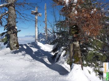 Randonnée Raquettes à neige Saint-Laurent-du-Pont - Crête des Charmilles (tentative) - Photo