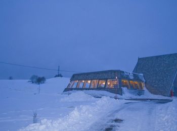 Tour Schneeschuhwandern La Chaux - Le Cret Moniot - Photo