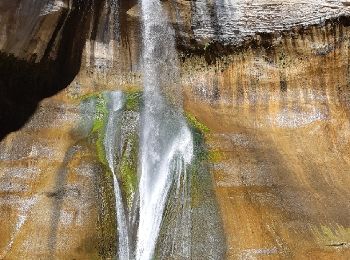 Excursión Senderismo  - lower calf creek falls - Photo