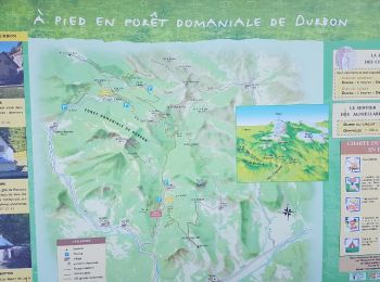 Randonnée Marche Aspres-sur-Buëch - les annuelles j2 - Photo