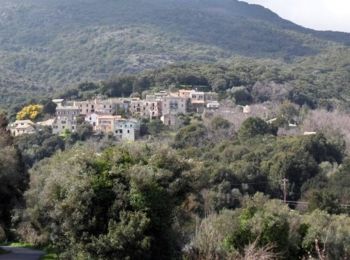 Trail Walking Belgodère - Agriates + Cap Corse en 7 jours de randonnée - Photo