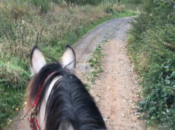 Trail Equestrian Neufchâteau - boucle Hamipré par La Croix de l'homme  - Photo