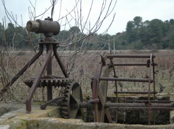 Randonnée Marche Leuc -  Le Leuc - Photo