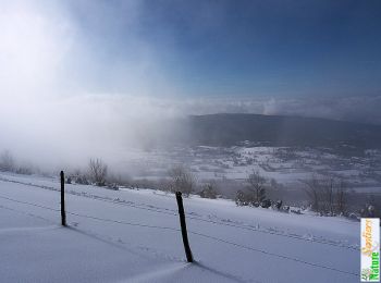 Randonnée Raquettes à neige Innimond - Le Mont Pela, crête d'Innimond en raquettes - Photo