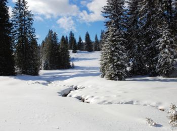 Excursión Raquetas de nieve Lamoura - Forêt du Massacre - Lamoura - le Boulu - Photo