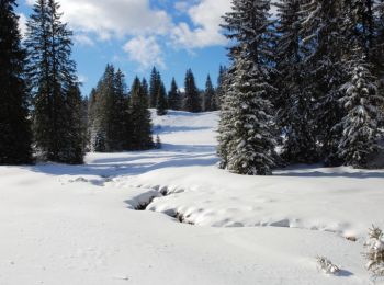 Trail Snowshoes Lamoura - Forêt du Massacre - Lamoura - le Boulu - Photo