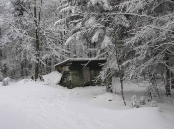 Tocht Sneeuwschoenen Ventron - Vosges en Raquettes : Frère Joseph - Photo