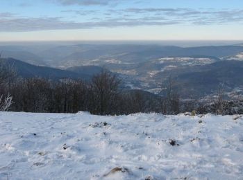 Excursión Raquetas de nieve Saint-Maurice-sur-Moselle - Vosges en Raquettes : Ballon d'Alsace - Photo