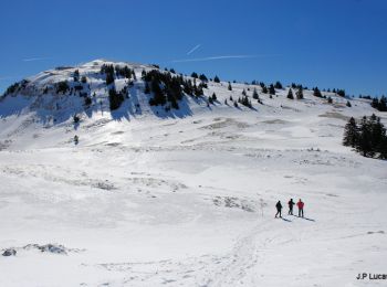 Randonnée Raquettes à neige Mijoux - Les crêtes du Mont Rond - Photo