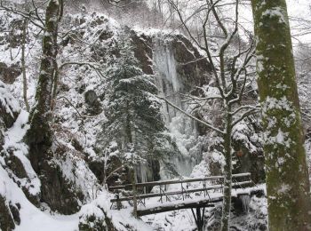 Percorso Racchette da neve Ramonchamp - Vosges en Raquettes : Les mille étangs - Photo