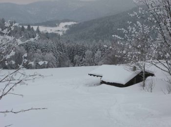 Trail Walking Saint-Maurice-sur-Moselle - Vosges en Raquettes : les lacs du Neuweiher - Photo