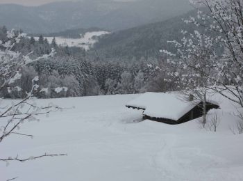 Randonnée Raquettes à neige Saint-Maurice-sur-Moselle - Vosges en Raquettes : les lacs du Neuweiher - Photo