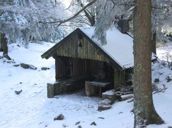 Tocht Sneeuwschoenen Ventron - Vosges en Raquettes : Felsach - Photo